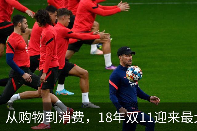 从购物到消费，18年双11迎来最大一次跃迁